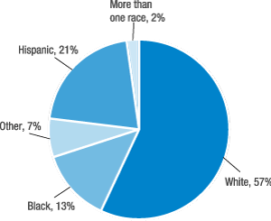 Figure 9. Survey sample by race and ethnicity