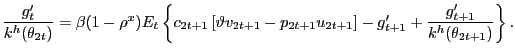 $\displaystyle \frac{g^{\prime}_{t}}{k^{h}(\theta_{2t})} = \beta(1-\rho^{x}) E_{t} \left\{ c_{2t+1} \left[ \vartheta v_{2t+1} - p_{2t+1} u_{2t+1} \right] - g^{\prime}_{t+1} + \frac{g^{\prime}_{t+1}}{k^{h} (\theta_{2t+1})} \right\} .$