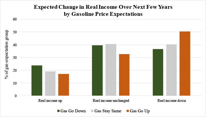 Figure 3: Expected Change in Real Income Over Next Few Years by Gasoline Price Expectations. See accessible link for data.