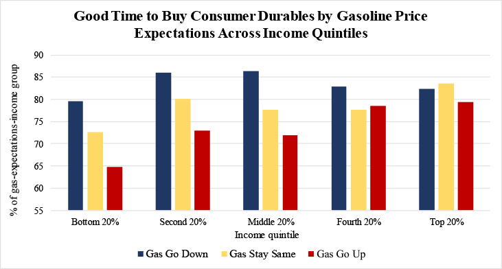Figure 5: Good time to Buy Consumer Durables by Gasoline Price Expectations Across Income Quintiles. See accessible link for data.