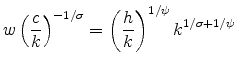 \displaystyle w\left(\frac{c}{k}\right)^{-1/\sigma}=\left(\frac{h}{k}\right)^{1/\psi}k^{1/\sigma+1/\psi}