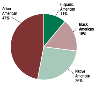 Figure 1. State-member MDIs by minority type