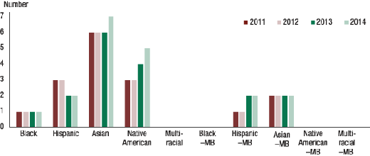 Figure A.2. Number of state-member MDIs by type of minority, 2011-14