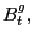 $ B_{t}^{g},$