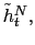 $ \tilde{h}_{t}^{N},$