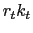 $ r_{t} k_{t}$