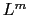 $ L^{m}$