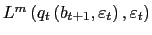 $ L^{m}\left( q_{t}\left( b_{t+1},\varepsilon _{t}\right) ,\varepsilon_{t}\right) $