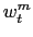 $\displaystyle w_{t}^{m}$