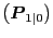$ \left( \boldsymbol{P} _{1\vert}\right) $