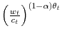 \left( \frac{w_{t}}{c_{t}}\right) ^{\left( 1-\alpha\right) \theta_{t}}