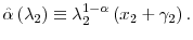  \hat{\alpha}\left( \lambda_{2}\right) \equiv\lambda_{2}^{1-\alpha}\left( x_{2}+\gamma_{2}\right) .