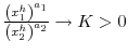\frac{\left( x_{1}% ^{h}\right) ^{a_{1}}}{\left( x_{2}^{h}\right) ^{a_{2}}}\rightarrow K>0