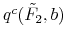  q^c(\tilde F_{2},b)