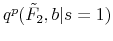  q^p(\tilde F_{2},b \vert s=1)