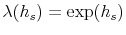  \lambda(h_{s})=\exp(h_{s})