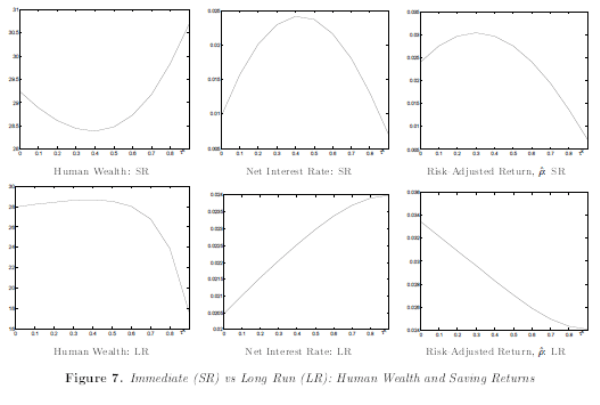 Figure 7: Immediate (SR) vs Long Run (LR): Human Wealth and Saving Returns. Refer to link below for accessible version.