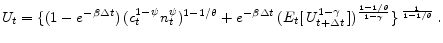 \displaystyle U_{t}=\{ (1-e^{-\beta \Delta t})\,(c_{t}^{1-\psi }n_{t}^{\psi })^{1-1/\theta }+e^{-\beta\Delta t}\,( E_{t}[\,U_{t+\Delta t}^{1-\gamma }\,] )^{\frac{1-1/\theta }{1-\gamma } }\}\,^{\frac{1}{1-1/\theta }}\,.