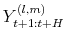  Y_{t+1:t+H}^{(l,m)}