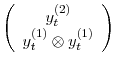 \displaystyle \left( \begin{array}{c} y_{t}^{(2)}\\ y_{t}^{(1)} \otimes y_{t}^{(1)}\\ \end{array} \right)
