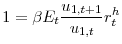 \displaystyle 1=\beta E_{t}\frac{u_{1,t+1}}{u_{1,t}}r_{t}^{h}