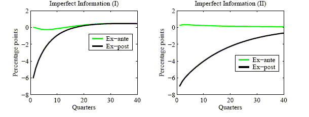 Figure 3 has two panels for impulse response functions (IRFs) over the first 40 periods.  The left panel is for imperfect information (I), the right panel is for imperfect information (II), and each panel compares the IRF for the ex ante real interest rate with the IRF for the ex post real interest rate.  In the left panel, the IRF for the ex ante real interest rate stays close to zero, whereas the IRF for the ex post real interest rate increases smoothly from about -6% initially to near zero at 20 quarters, staying close to zero thereafter.  In the right panel, the IRF for the ex ante real interest rate stays close to zero, whereas the IRF for the ex post real interest rate increases smoothly and gradually from about -7% initially to about -1% at 40 quarters.