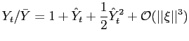 $\displaystyle Y_{t}/\bar{Y}=1+\hat{Y}_{t}+{\frac{1}{2}}\hat{Y}_{t}^{2}+{{\mathcal{O}}} (\vert\vert\xi\vert\vert^{3}) $