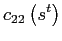 $\displaystyle c_{22}\left( s^{t}\right)$