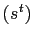 $ \left( s^{t}\right) $