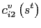 $\displaystyle c_{i2}^{v}\left( s^{t}\right)$