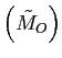 $\displaystyle \left( \tilde{M}_{O}\right)$
