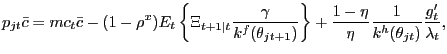 $\displaystyle p_{jt} \bar{c} = mc_{t} \bar{c} - (1-\rho^{x}) E_{t}\left\{ \Xi_{t+1\vert t}\frac{\gamma}{k^{f}(\theta_{jt+1})} \right\} + \frac{1-\eta}{\eta} \frac{1}{k^{h}(\theta_{jt})}\frac{g^{\prime}_{t}} {\lambda_{t}},$