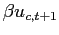 $ \beta u_{c,t+1}$