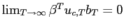 $ \lim_{T\rightarrow\infty}\beta^{T}u_{c,T}b_{T}=0$