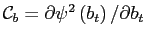 $ \mathcal{C}_{b}=\partial\psi^{2}\left( b_{t}\right) /\partial b_{t}$