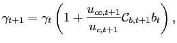 $\displaystyle \gamma_{t+1} = \gamma_{t}\left(1 + \frac{u_{cc,t+1}}{u_{c,t+1}}\mathcal{C}_{b,t+1}b_{t}\right),$