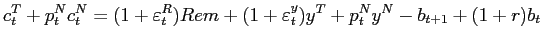 $\displaystyle c_{t}^{T}+p_{t}^{N}c_{t}^{N}=(1+\varepsilon_{t}^{R} )Rem+(1+\varepsilon_{t}^{y})y^{T}+p_{t}^{N}y^{N}-b_{t+1}+(1+r)b_{t}$