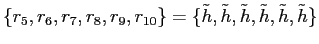 $ \{r_{5},r_{6},r_{7},r_{8},r_{9},r_{10}\}=\{\tilde h, \tilde h, \tilde h, \tilde h, \tilde h, \tilde h\}$