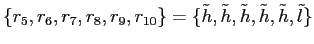 $ \{r_{5},r_{6},r_{7},r_{8},r_{9},r_{10}\}=\{\tilde h, \tilde h, \tilde h, \tilde h, \tilde h, \tilde l\}$