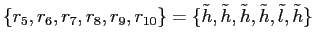 $ \{r_{5},r_{6},r_{7},r_{8},r_{9},r_{10}\}=\{\tilde h, \tilde h, \tilde h, \tilde h, \tilde l, \tilde h\}$