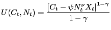 $\displaystyle U(C_{t},N_{t})=\frac{\left[ C_{t}-\psi N_{t}^{\nu}X_{t}\right] ^{1-\gamma} }{1-\gamma}$