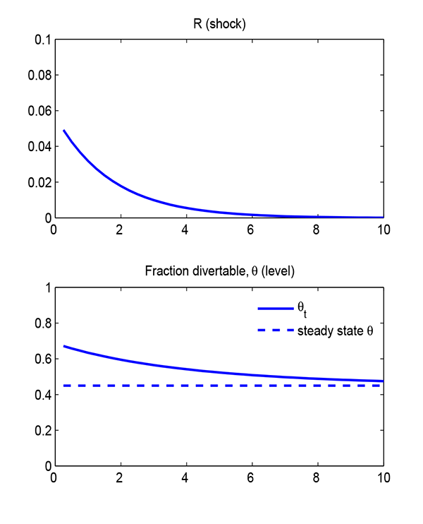 Figure 5: Figure 5 shows the time paths for R sub t and Theta sub t. The idea is to capture a situation in which not only there is a capital outflow, as captured by an increase in R sub t, but also a disruption in domestic financial markets, corresponding in the model to the increase in Theta sub t. It is best to think of the shock as a rare event.