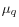 \mu_{q}