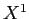  X^{1}