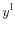 \displaystyle y^{\mathrm{I}}