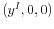  (y^{I},0,0)
