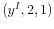  (y^{I},2,1)