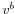 v^{b}