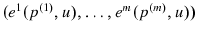  (e^{1}(p^{\left( 1\right) },u),\ldots ,e^{m}(p^{\left( m\right) },u))
