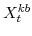  X^{kb}_{t}
